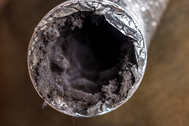Best Dryer Vent Cleaning Services  in Newburyport, MA